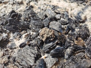 Erkaltete Grillkohle mit Asche