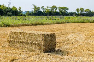 A big square bale of straw in a harvested wheat field with a streambank buffer strip of prairie and...