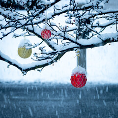 Christmas season in the Mid-West United States