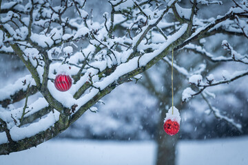 Christmas season in the Mid-Western United States