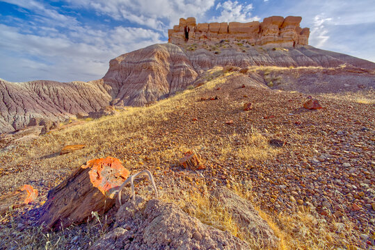 Keyhole Mesa, named for a keyhole shaped cave on its north side, in the First Forest of Petrified Forest National Park, Arizona