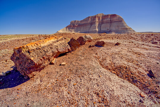 A Bentonite formation in Petrified Forest National Park near Crystal Forest called the Battleship, Arizona