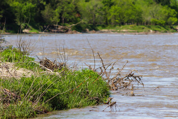 Catfish with Set line fishing alone the Niobrara River in Nebraska