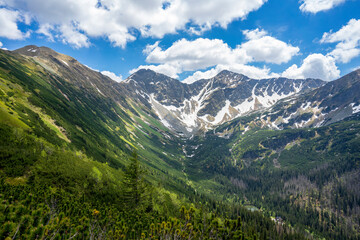 Fototapeta premium Slovak Western Tatras. View of the Rohace peaks.