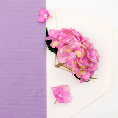 Pink hydrangea in an envelope on a white background. Greeting card with place for design.