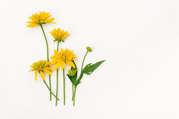 A bouquet of yellow flowers on a white background with a place for design.