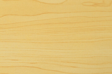 Wood wall texture or background. Natural pattern wood background