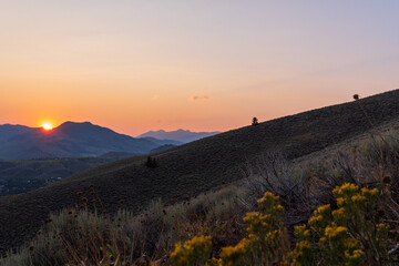 Beautiful Sunset behind the High Desert Landscape and Desert Flowers of Sun Valley Idaho
