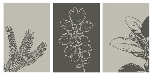 Fototapeta na wymiar Set of trendy printable cards. For use on cover, wallpaper, postcard, wall art. Botanical illustration. 