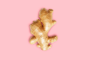 Fresh ginger isolated on pink background, herb medical concept - Clipping path