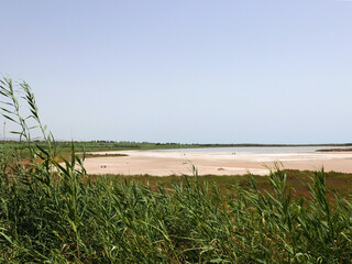 assolata e silenziosa  vista della riserva naturale di Vendicari in Sicilia