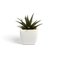 Decorative artificial aloe in a white ceramic pot isolated on white background, close-up view