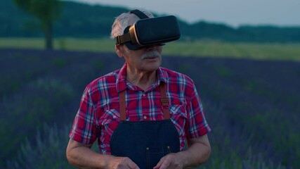Progressive modern grandfather man farmer in field lavender flowers uses virtual reality technology. Simulating application user interface. Control irrigation system from drones. Modern agribusiness - Powered by Adobe