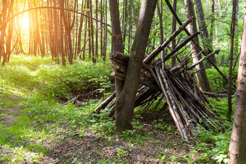 Survival shelter in the woods from tree branches. Cone or pyramid shape shelter