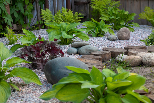 Rockery rock garden  with big and small stones through which flowers grow