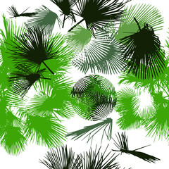 Seamless background palm leaves. vector illustration