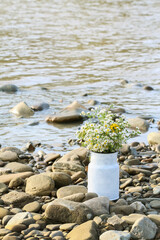 A bouquet of wild flowers in vintage can.