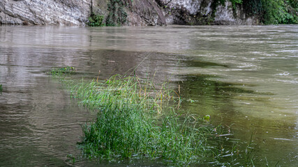 Aarespitz mit Hochwasser