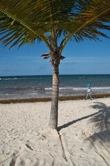 Punta Cana, Dominican Republic, July 17, 2021.
Life in tropical landscapes. Tropical beaches
Resort beaches, street vendors on the beach