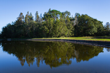 Fototapeta na wymiar Reflection Of Trees In Lake
