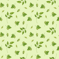 Rose leaves seamless pattern. Floral elements on green  background, vintage style. Watercolor clipart.