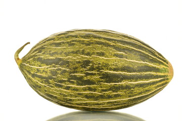 One juicy ripe melon, close-up, isolated on white.