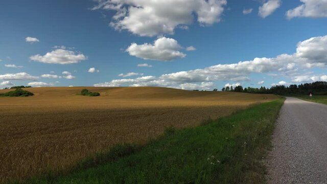 Gravel road between agricultural fields in summer. Wildflowers grow on the side of the road. Blue sky on the horizon with white clouds. Sunny summer warm day in Latvia. The shadow from the cloud moves