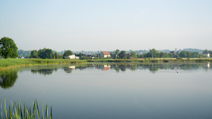 Pond on a summer morning 