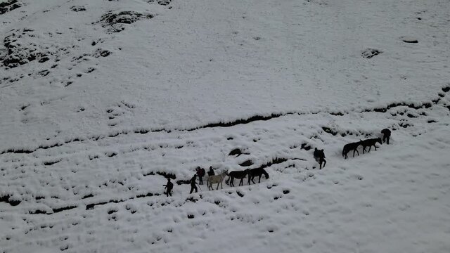 people hikers and horse donkeys dog walking after heavy snowfall on trail rout path in fresh snow. aerial view drone shot of snow covered mountain. dangerous risky weather for hiking trekking Himalaya