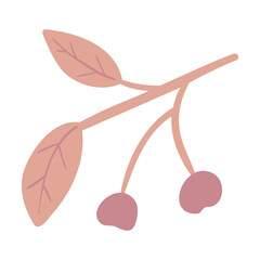 Isolated vector illustration of a cherry for decoration