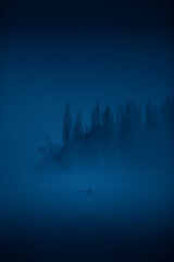rowing on the river in the fog - 446661377