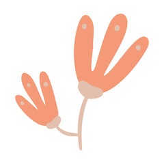 Isolated vector illustration of a flower for decoration