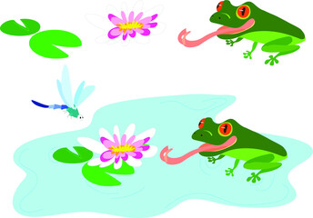 A red-eyed frog prepares to dine with a dragonfly. Vector illustration with a frog and a dragonfly on a pond with a beautiful white water lily.
