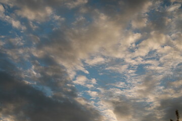 A group of clouds in the sky