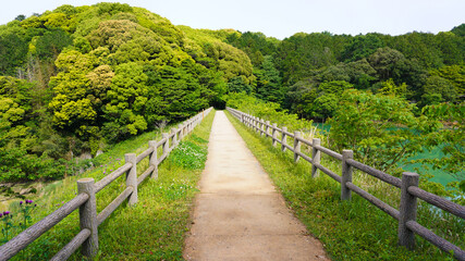 Fototapeta na wymiar 福岡県、宗像市のハイキングコース