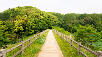Fototapeta premium 福岡県、宗像市のハイキングコース