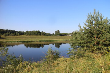 summer river in the countryside in the evening