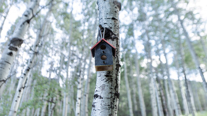 Bird House