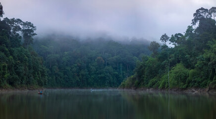 Dramatic reflecting scenic view of a lake in the forest during foggy morning