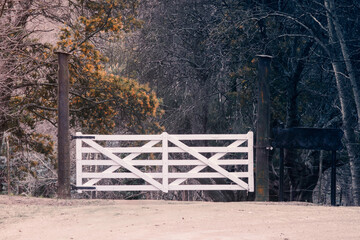 field gate winter in the woods