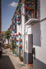 Fototapeta na wymiar Calle de Sévilla