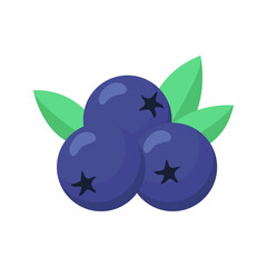 Blueberry isolated on white background. Vector illustration