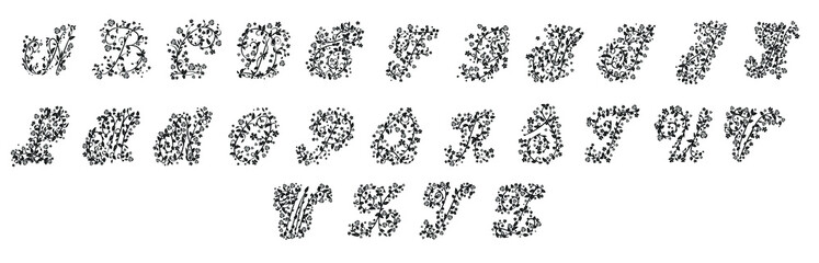 Floral alphabet, monogram letters. Decorative ornamental ancient capital letters, old alphabet monograms and filigree ornament. Vector illustration. © Pular