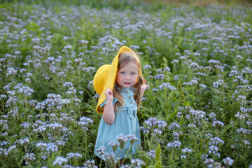 a beautiful happy little smiling blonde girl with ponytails and blue eyes with a yellow hat on her head and a blue muslin dress is standing in a field with beautiful purple flowers