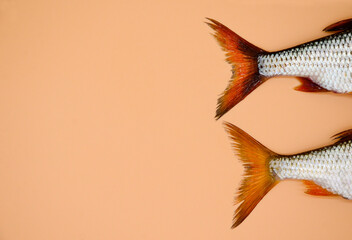 Two tails of river roach fish on orange background with copy space. Concept of kitchen, food preparation, shop windows, market. Fishing concept, tackle.