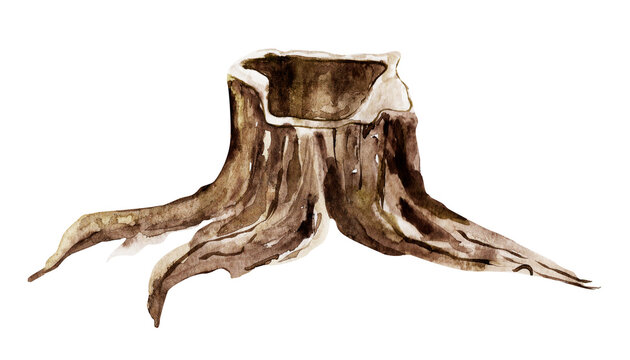Old wooden stump watercolor illustration. Template for decorating designs and illustrations.