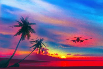Foto op Canvas tropical sunset with Plane © reznik_val
