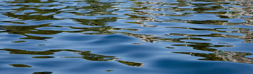 Mangrove vegetation reflected in the waters of Rodrigo de Freitas Lagoon, Rio de Janeiro, Brazil