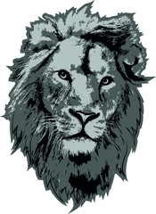 Lion head in 3 gray colors interpretation - 446671343