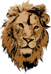 Lion head in 3 colors interpretation - 446671349